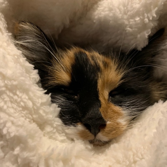 Meet your Posher, Heather - Picture 2 of 9